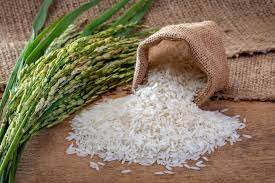 Proyecto de ley propone importar alimentos sin pago de arancel