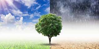 ENTREGAN PREMIO SOBRE CAMBIO CLIMÁTICO EN HONOR A ORLANDO JORGE