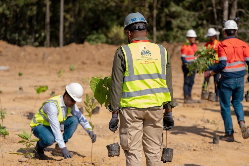 Ministerio de Energía y Minas participa en jornada de reforestación