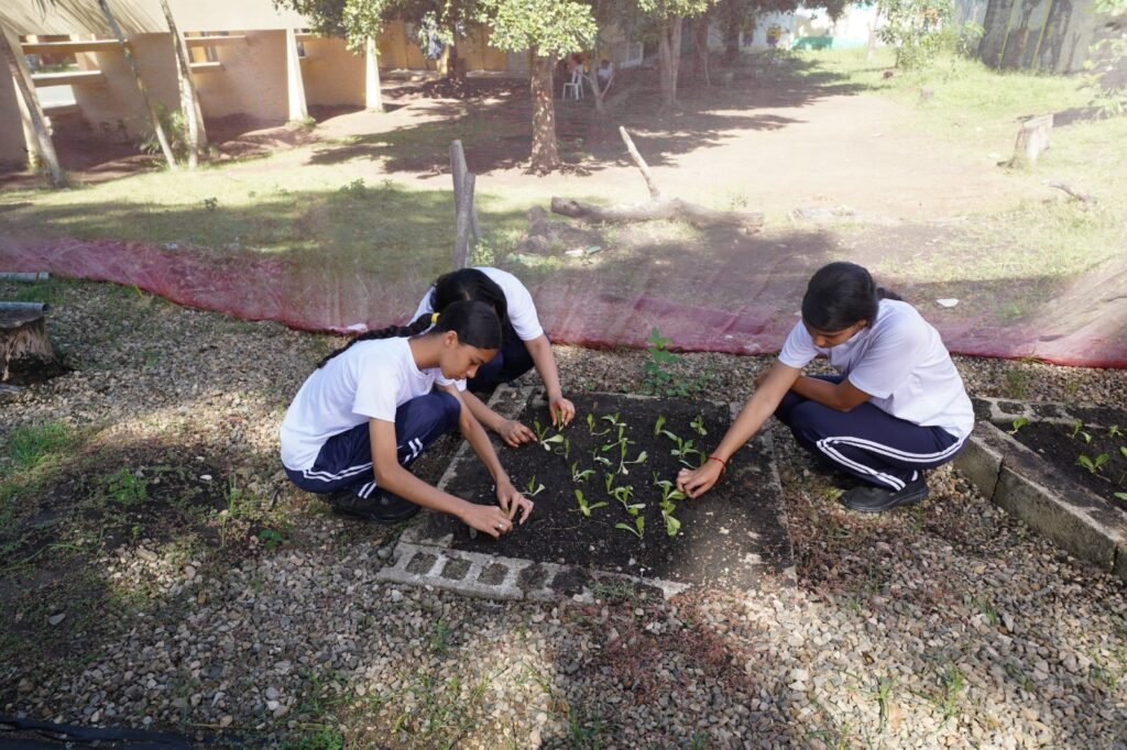 Huertos escolares del INABIE promueven conciencia ambiental y alimentaria en estudiantes