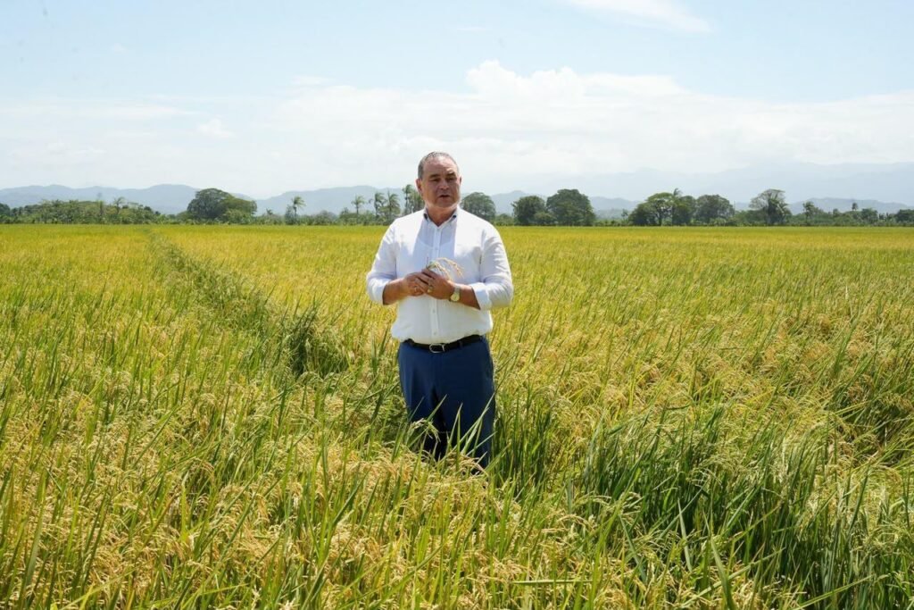 Video confirma postura del ministro de Agricultura sobre polémica por supuesta dispensa al sector arrocero sector arrocero